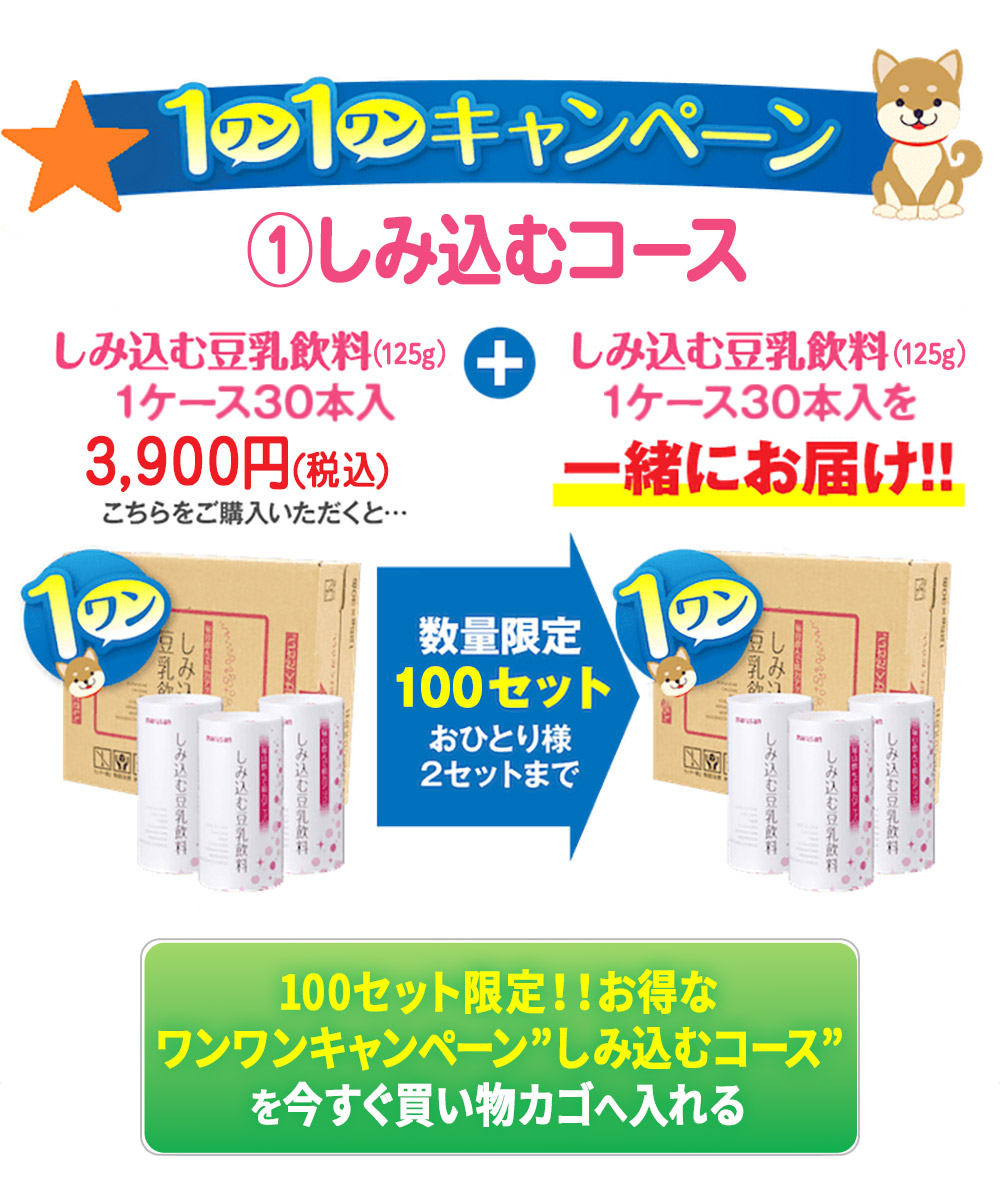 －しみ込むコース